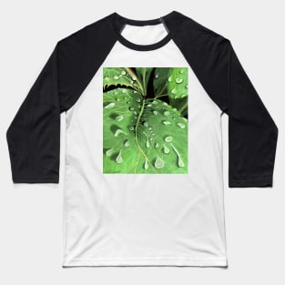 Claire's Hellebore Baseball T-Shirt